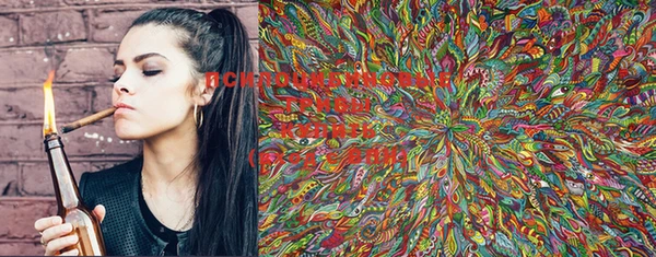 марки lsd Богданович