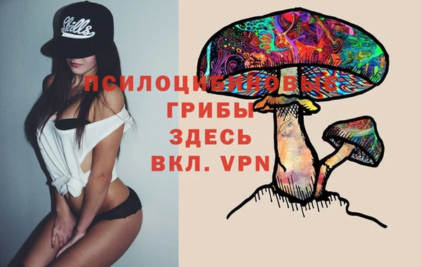 бутират Богородицк