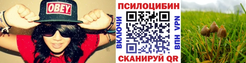 Галлюциногенные грибы Psilocybe  Армавир 